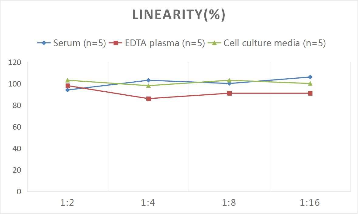 Mouse IgG3 ELISA Kit (Colorimetric)