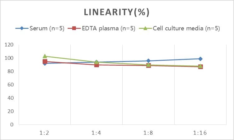 Mouse IgG Fc ELISA Kit (Colorimetric)