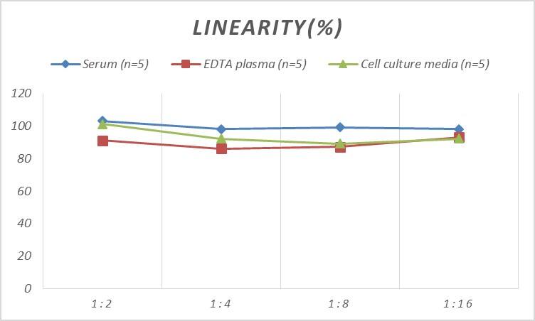 Rat IL-34 ELISA Kit (Colorimetric)