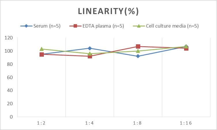 Mouse Insulin Receptor beta ELISA Kit (Chemiluminescence)