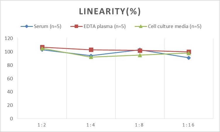 Rat Insulin Receptor beta ELISA Kit (Chemiluminescence)