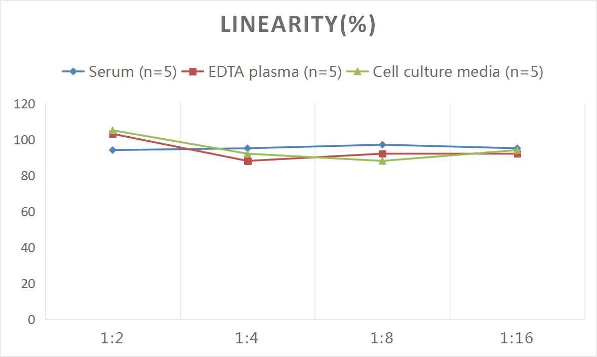 Rat IRS1 ELISA Kit (Colorimetric)