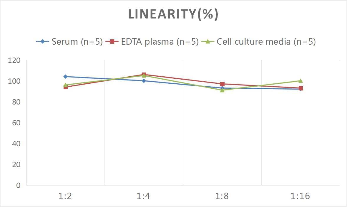 Human LBP ELISA Kit (Chemiluminescence)