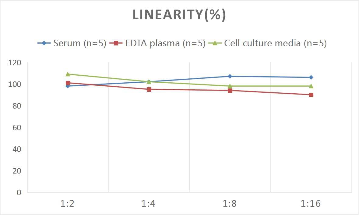 Mouse Luteinizing Hormone ELISA Kit (Chemiluminescence)