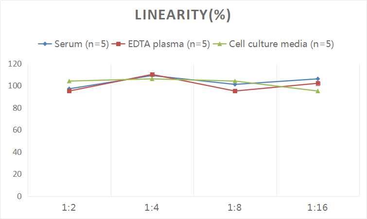 Rat Luteinizing Hormone ELISA Kit (Chemiluminescence)