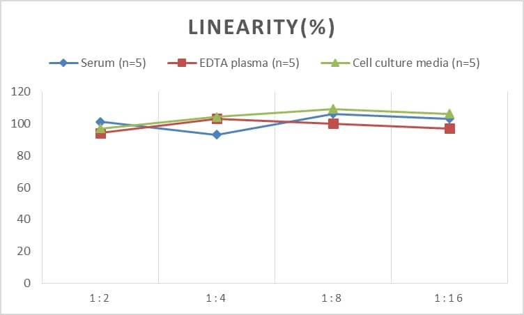 Mouse XCL1/Lymphotactin ELISA Kit (Chemiluminescence)