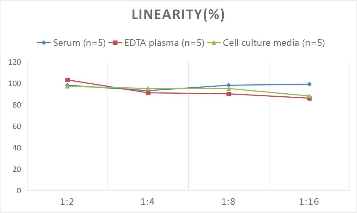 Mouse XCL1/Lymphotactin ELISA Kit (Colorimetric)