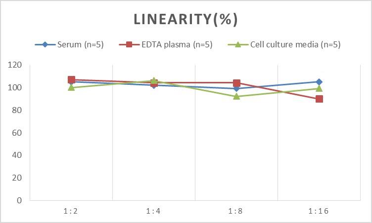 Mouse Lysozyme ELISA Kit (Chemiluminescence)