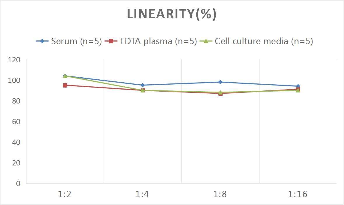 Mouse Lysozyme ELISA Kit (Colorimetric)