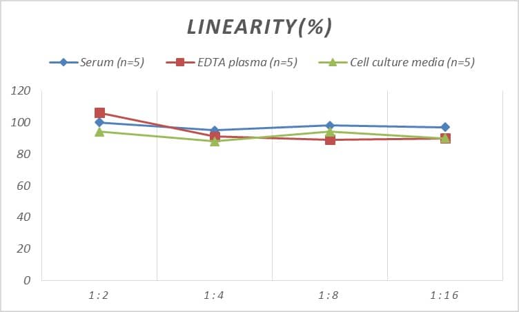 Human CCL28 ELISA Kit (Colorimetric)