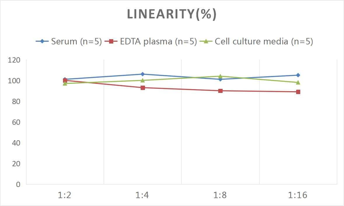 Rat CCL3/MIP-1 alpha ELISA Kit (Colorimetric)