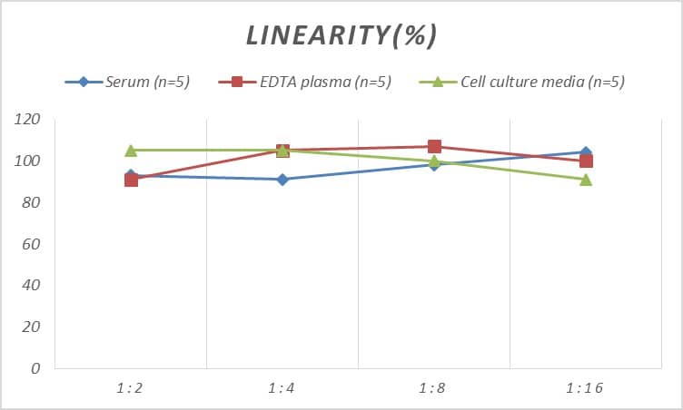 Human Myoglobin ELISA Kit (Chemiluminescence)