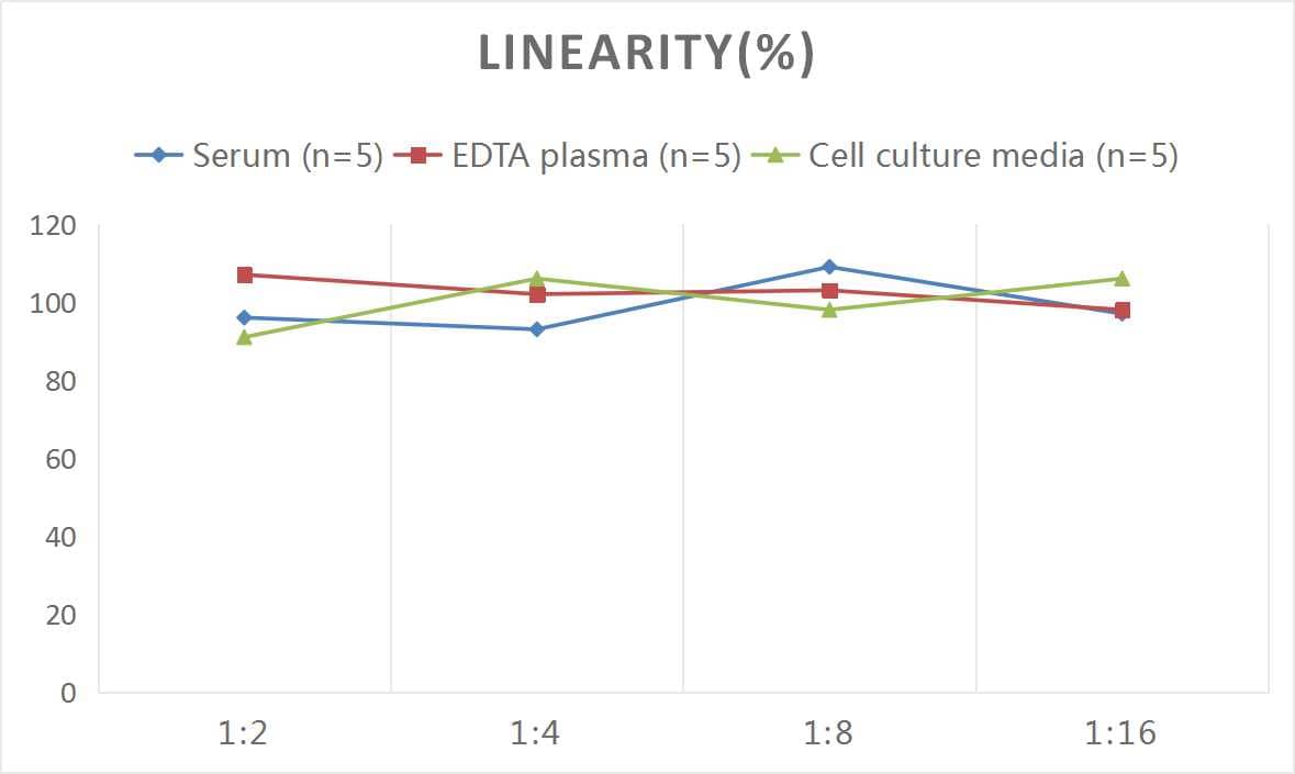 Human NT-4 ELISA Kit (Chemiluminescence)