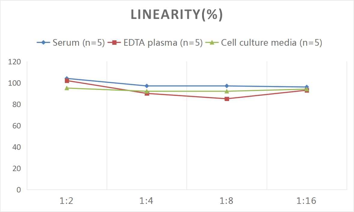 Mouse SPARC ELISA Kit (Colorimetric)