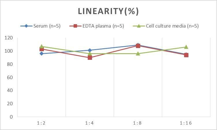 Human Orosomucoid 2 ELISA Kit (Chemiluminescence)