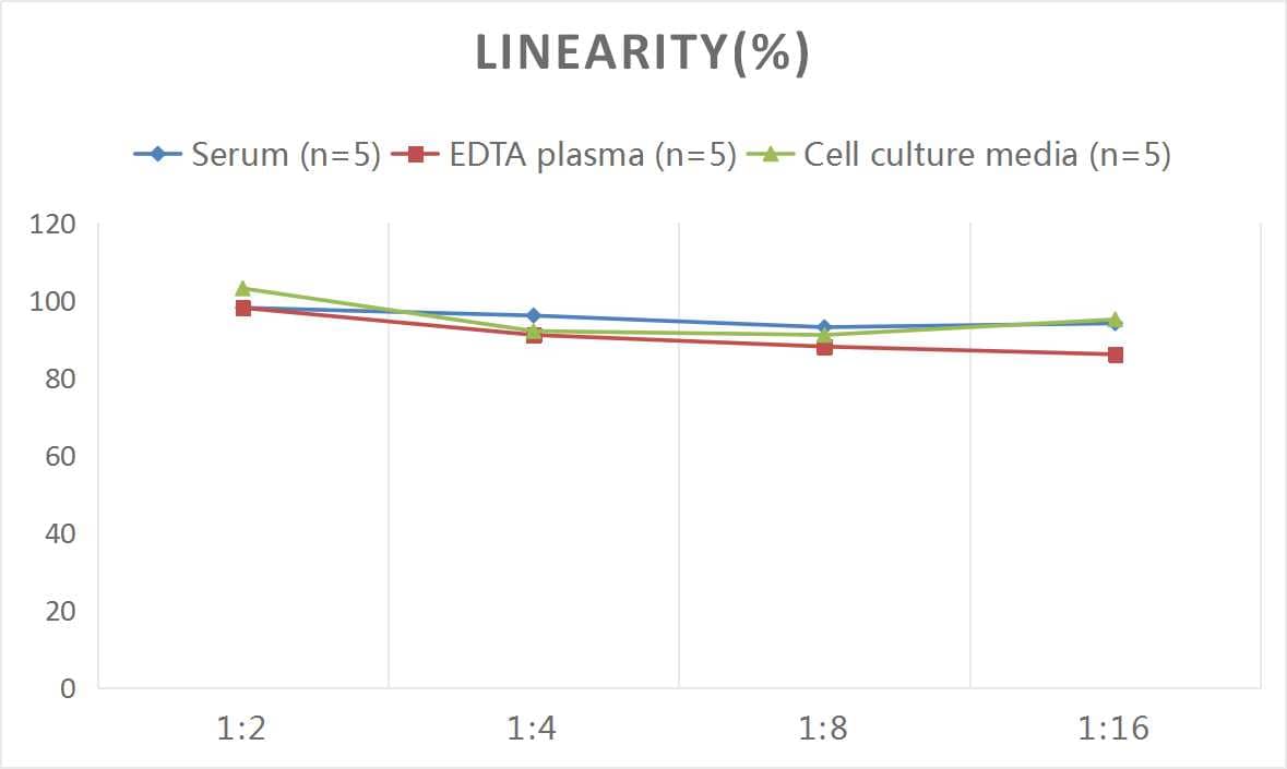 Rat Oncostatin M/OSM ELISA Kit (Colorimetric)