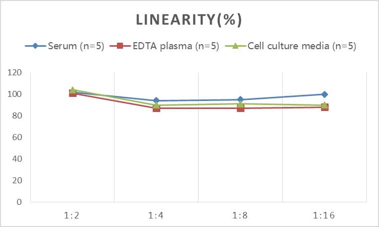 Human OSMR beta ELISA Kit (Colorimetric)