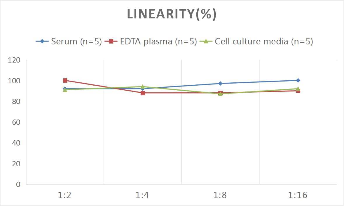 Human PIBF1 ELISA Kit (Colorimetric)