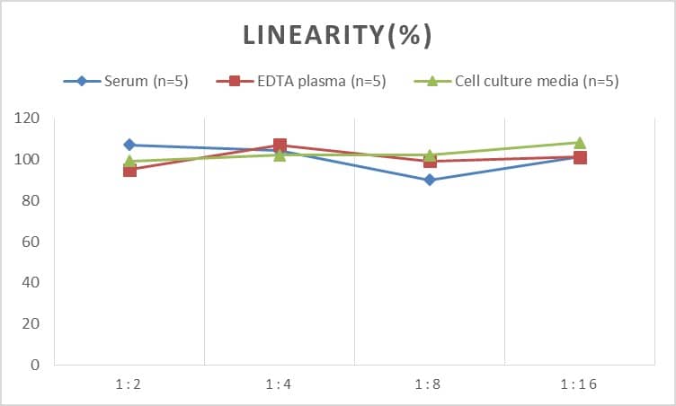 Human Plasminogen ELISA Kit (Chemiluminescence)