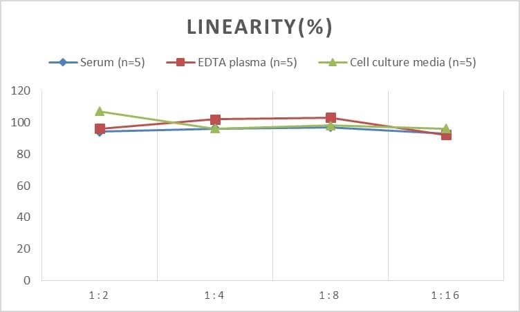 Rat Plasminogen ELISA Kit (Chemiluminescence)