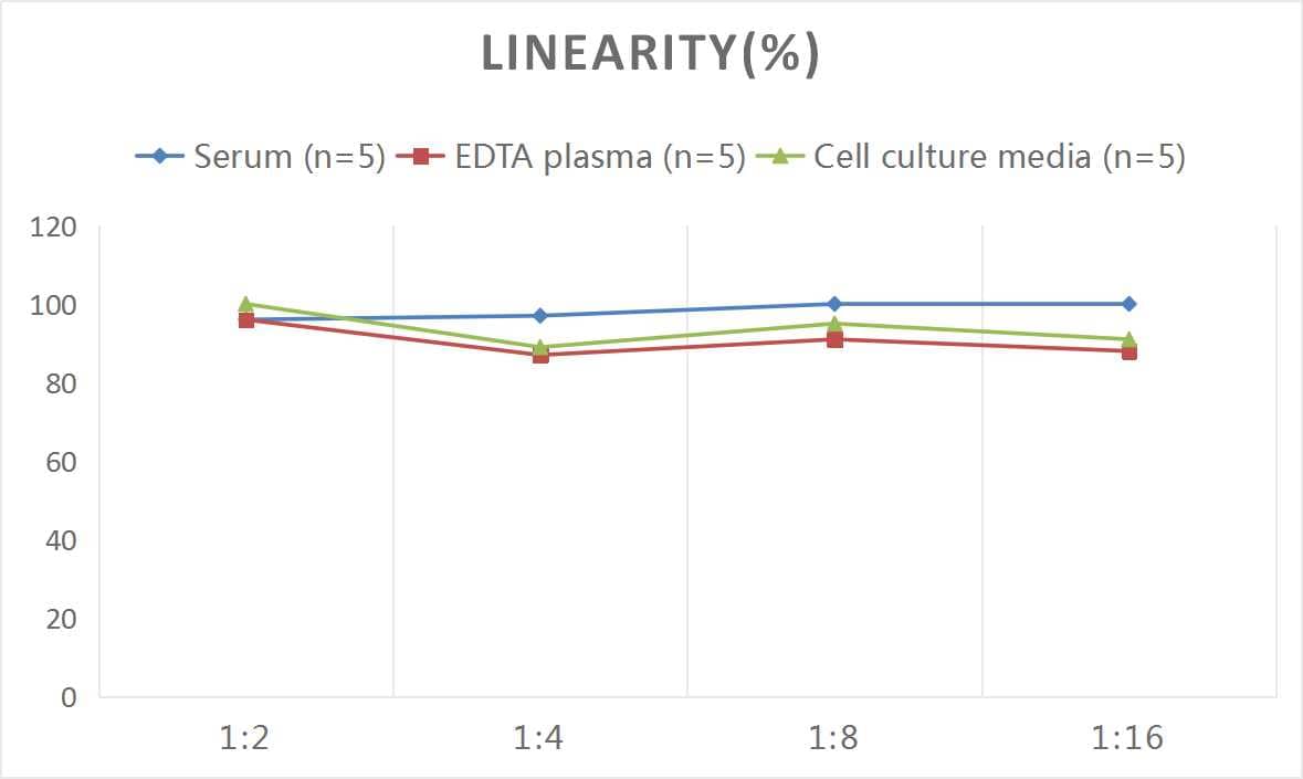 Rat Plasminogen ELISA Kit (Colorimetric)