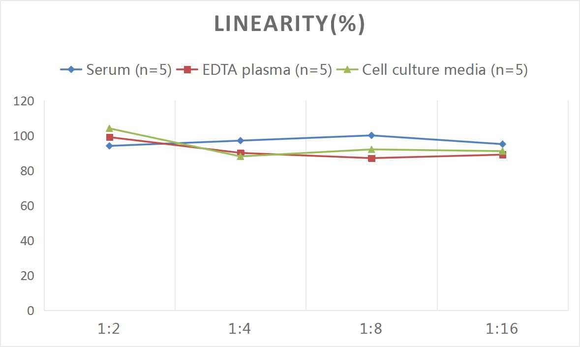 Rat RBP4/Retinol-Binding Protein 4 ELISA Kit (Colorimetric)