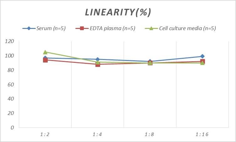 Mouse S100A10 ELISA Kit (Colorimetric)