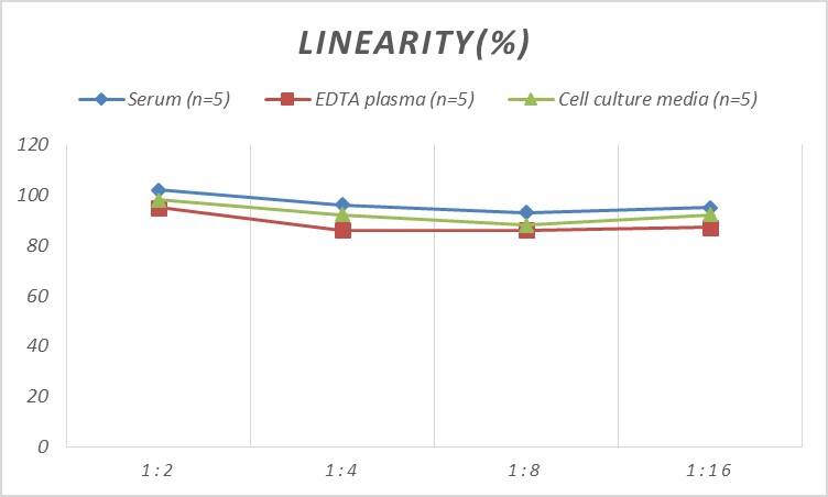 Rat S100A11 ELISA Kit (Colorimetric)