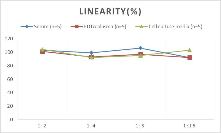 Human S100A13 ELISA Kit (Chemiluminescence)