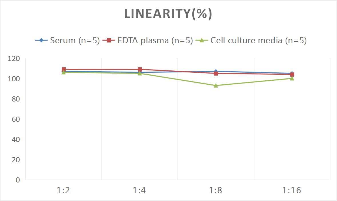 Human SAA ELISA Kit (Chemiluminescence)