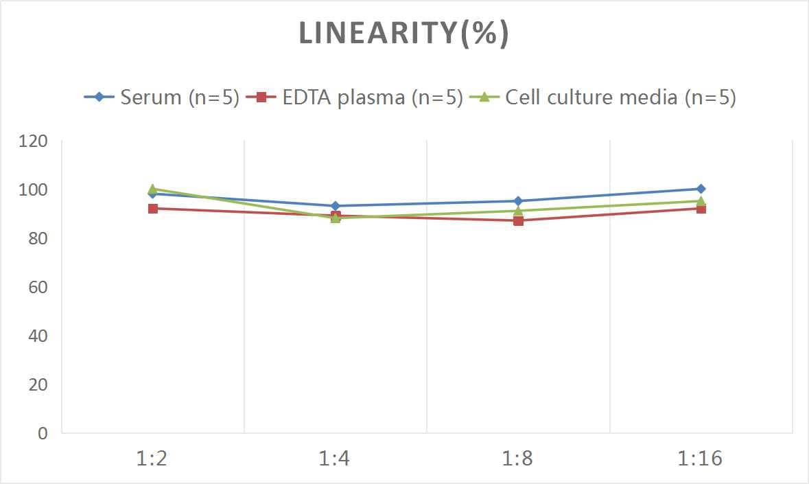 Human SLC6A4/5-HTTLPR/Serotonin transporter ELISA Kit (Colorimetric)