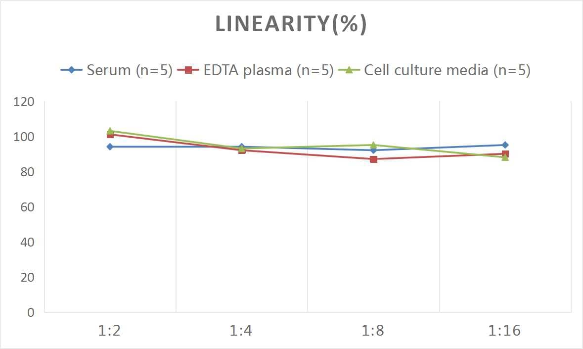 Rat Sonic Hedgehog/Shh ELISA Kit (Colorimetric)