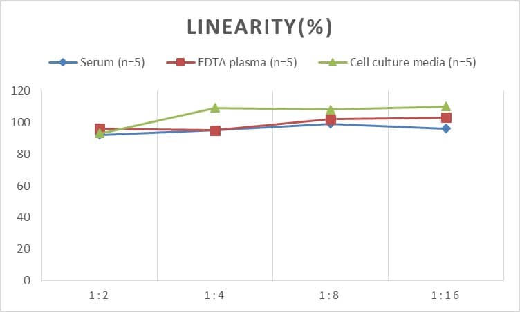 Human Alpha Fodrin ELISA Kit (Chemiluminescence)