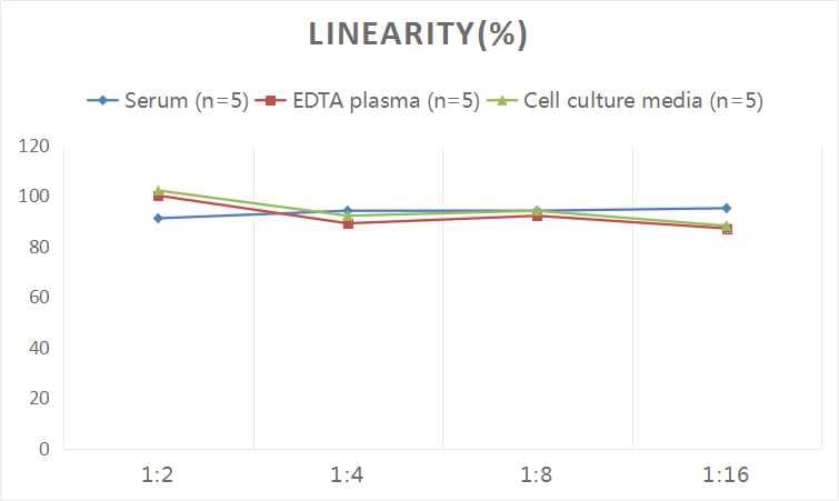 Human Alpha Fodrin ELISA Kit (Colorimetric)