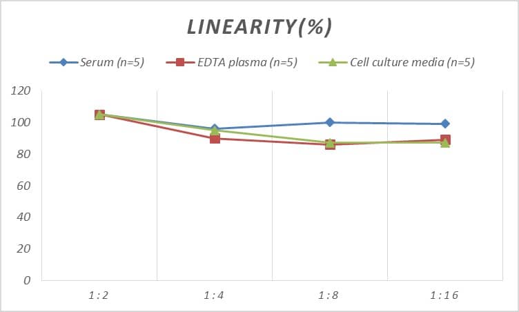 Human SSB ELISA Kit (Colorimetric)