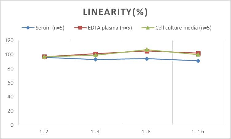 Rat Thrombin-antithrombin (TAT) complexes ELISA Kit (Chemiluminescence)