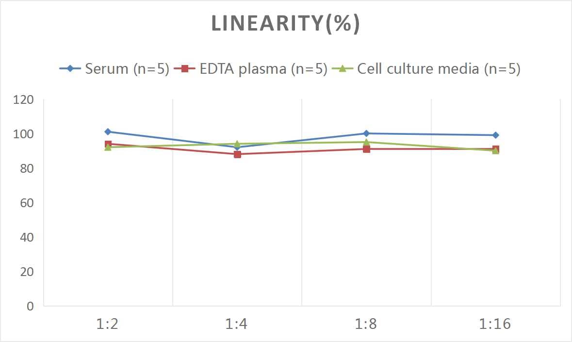 Rat Thrombin-antithrombin (TAT) complexes ELISA Kit (Colorimetric)