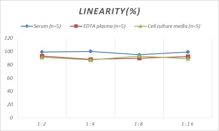 Rabbit Thrombin-antithrombin (TAT) complexes ELISA Kit (Colorimetric)