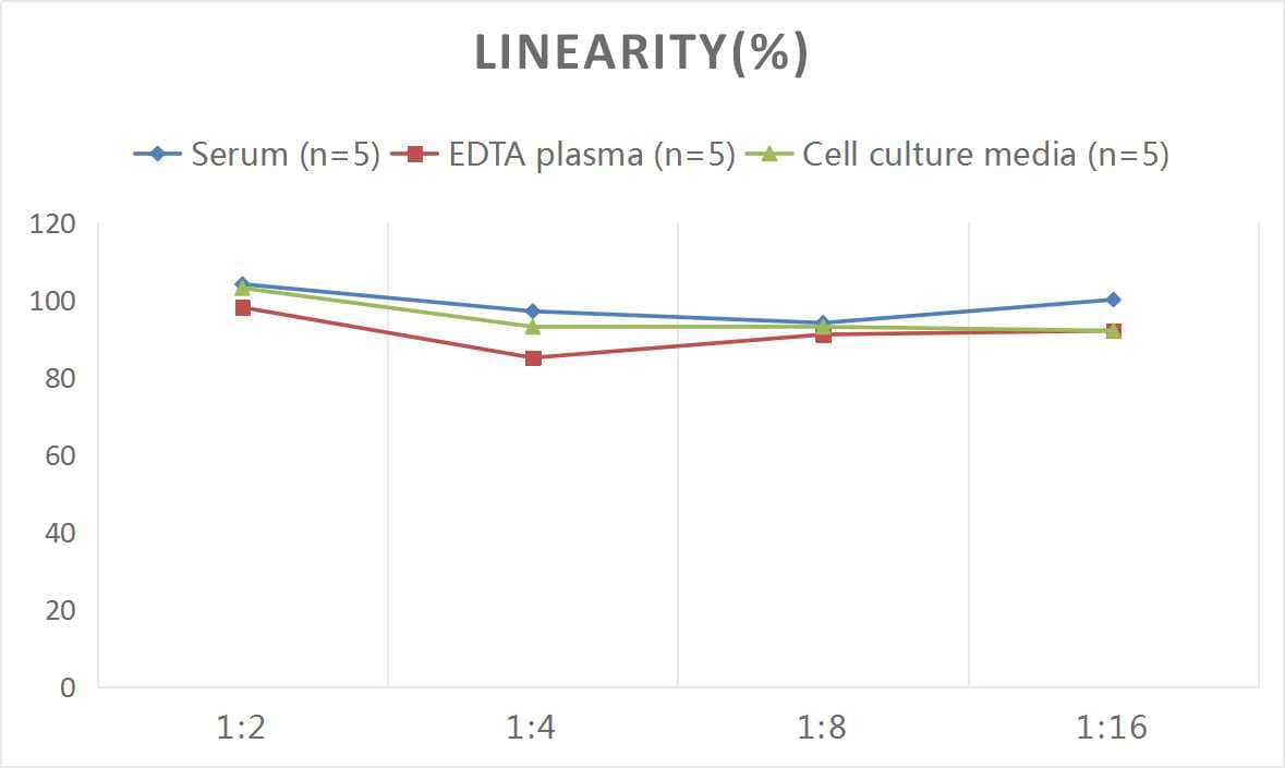 Human TXNIP ELISA Kit (Colorimetric)