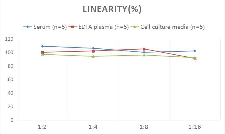 Rat NT-proBNP ELISA Kit (Chemiluminescence)