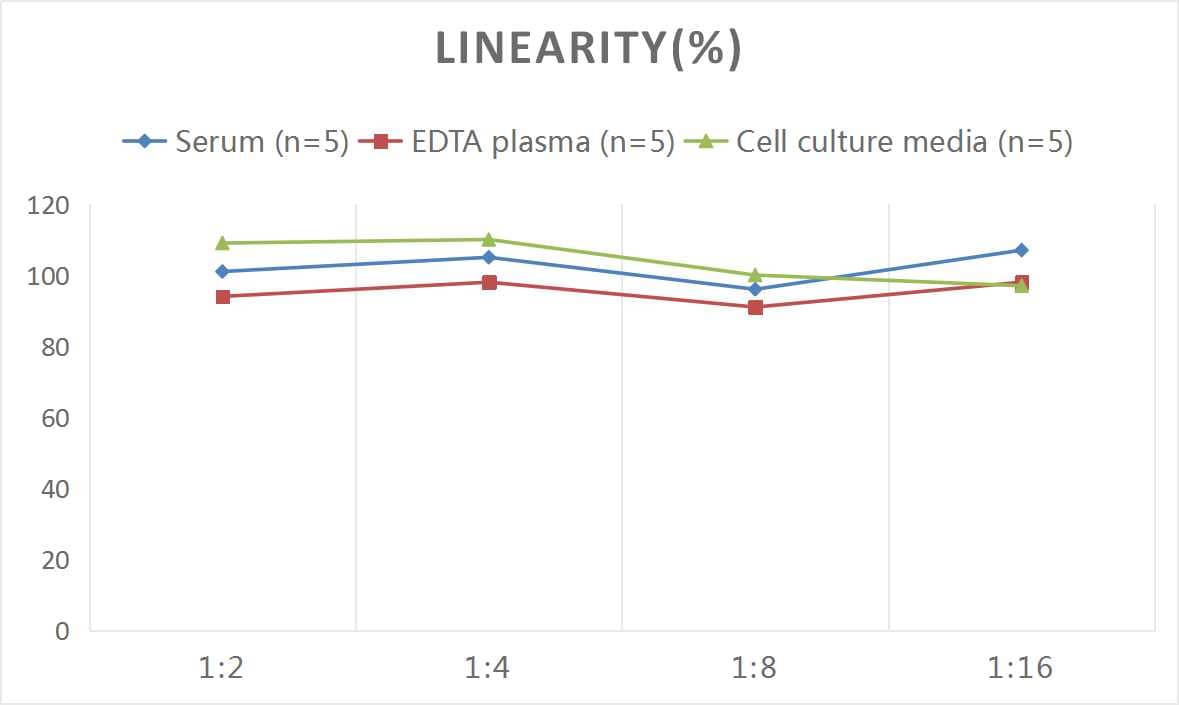 Mouse Osteocalcin ELISA Kit (Chemiluminescence)