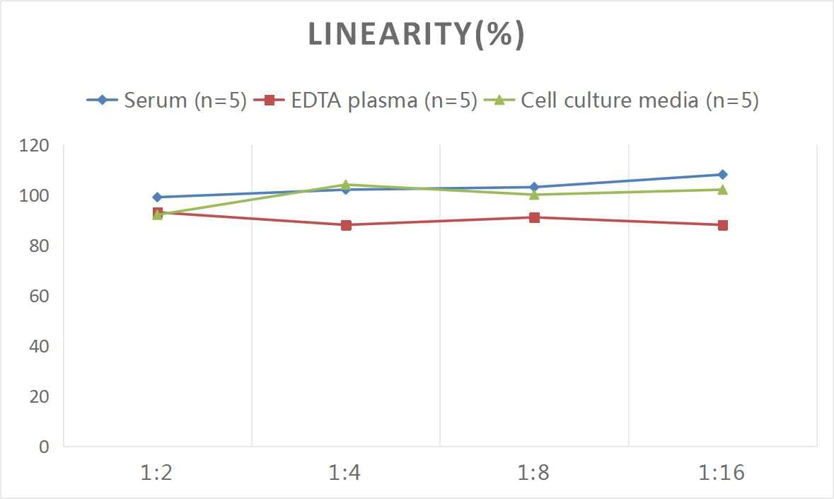 Mouse Osteocalcin ELISA Kit (Colorimetric)