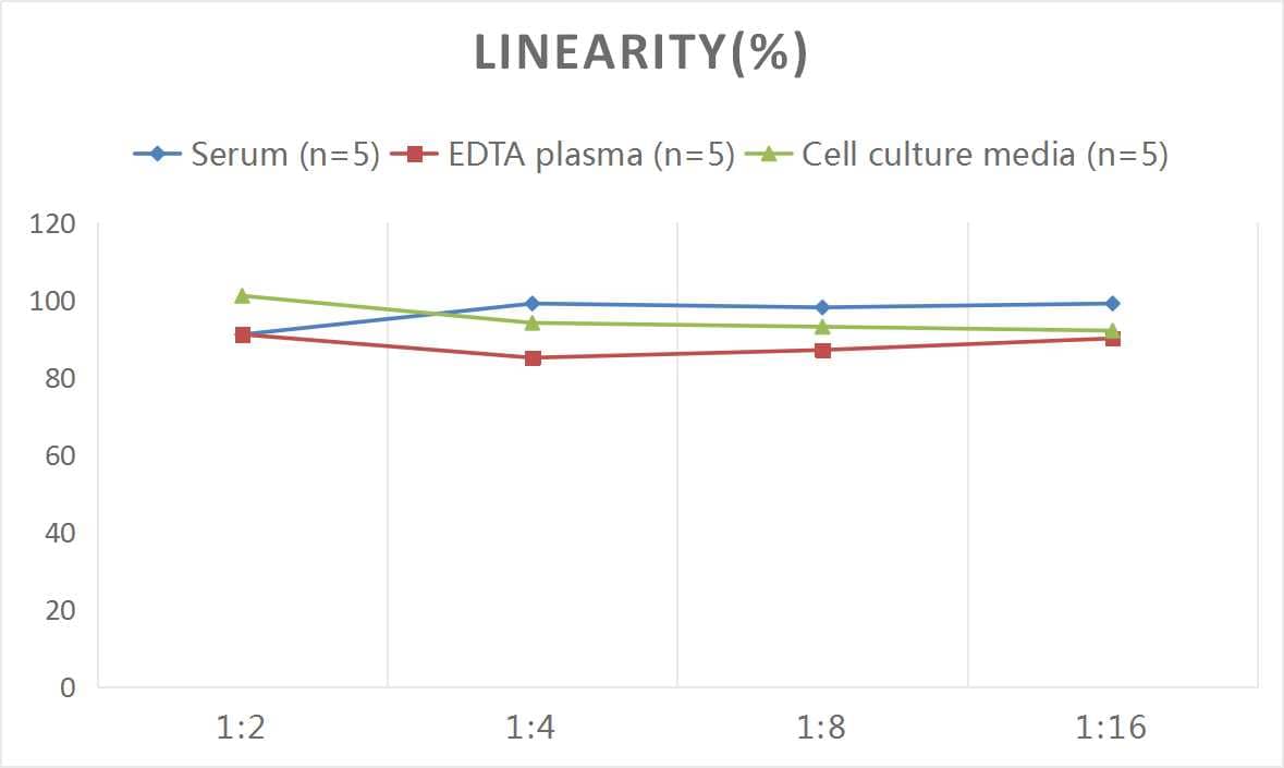 Monkey Osteocalcin ELISA Kit (Colorimetric)