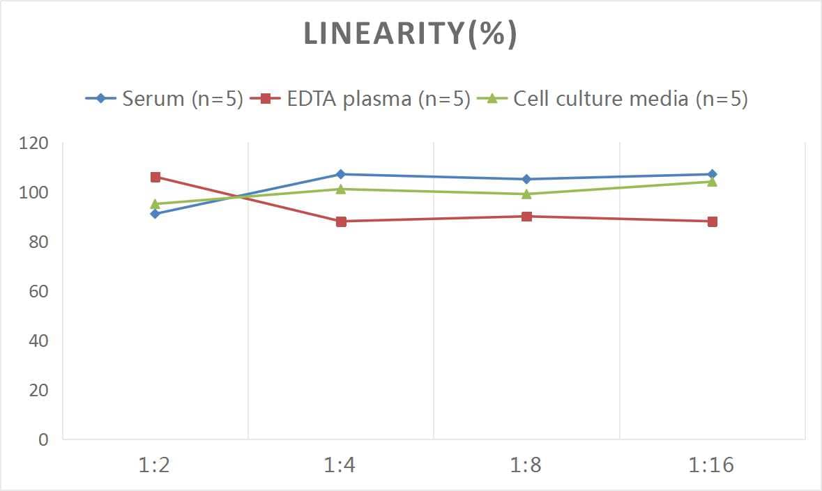 Rat Osteocalcin ELISA Kit (Colorimetric)