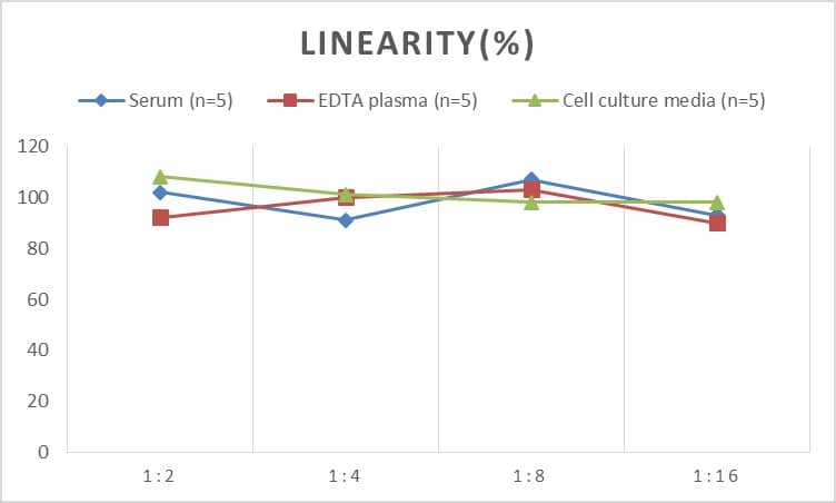 Human Endocan/ESM-1 ELISA Kit (Chemiluminescence)