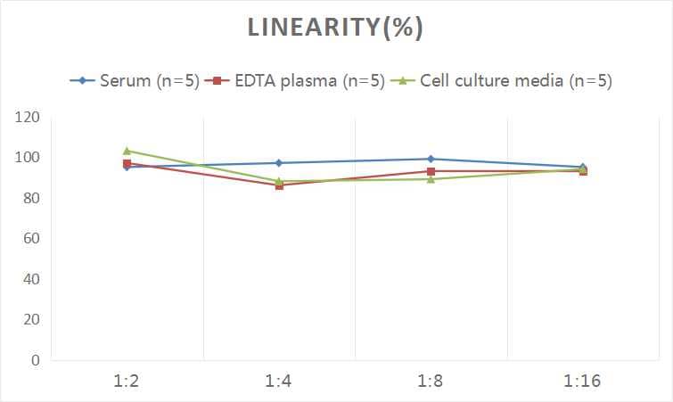 Human Endocan/ESM-1 ELISA Kit (Colorimetric)