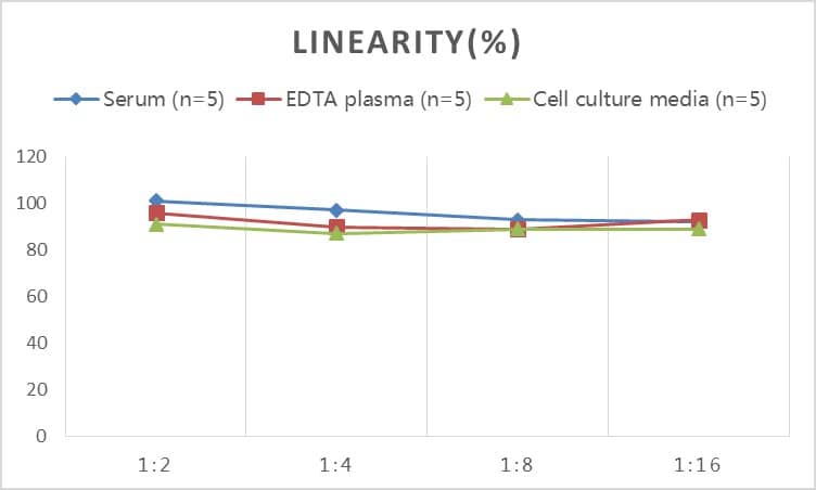 Rat Endocan/ESM-1 ELISA Kit (Colorimetric)