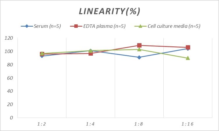 Rat Thioredoxin Reductase 1/TRXR1 ELISA Kit (Chemiluminescence)