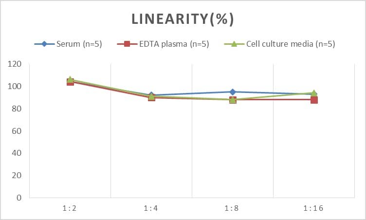 Rat Thioredoxin Reductase 1/TRXR1 ELISA Kit (Colorimetric)