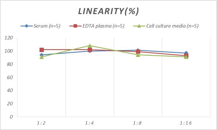 Human Vimentin ELISA Kit (Chemiluminescence)